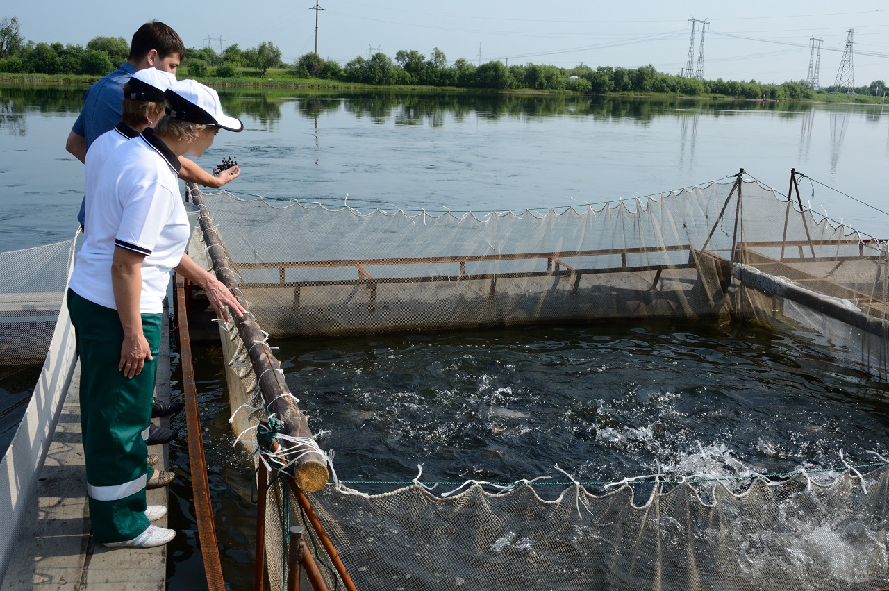 В 2020 г. Группа «Илим» направит 17 млн руб. на зарыбление водоемов в Иркутской обл.