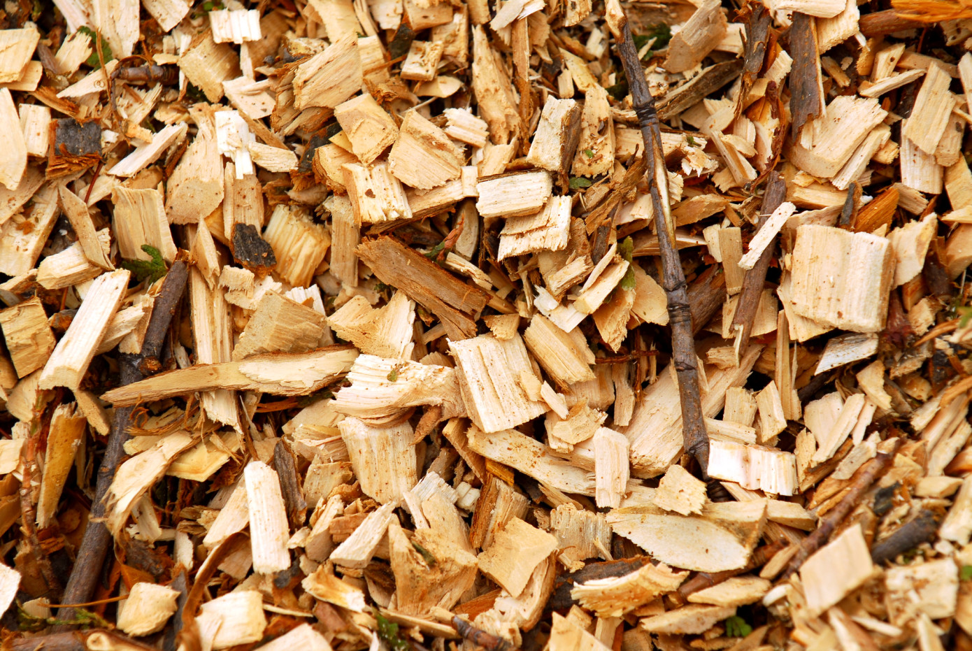 Stora Enso invests in CarbonScape"s wood chip technology for EV battery production