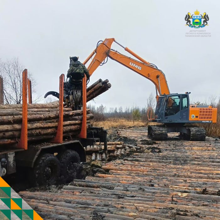 В Тюменской обл. завершаются строительство и реконструкция лесных дорог