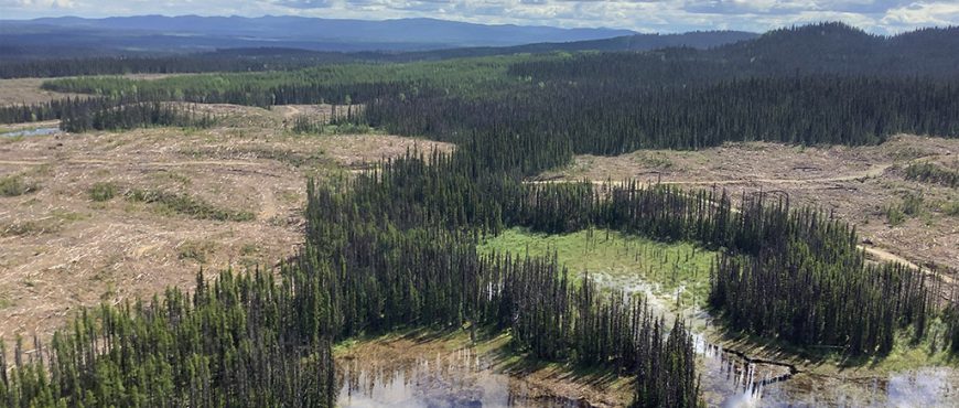 BC Forest Practices Board audit of BC Timber Sales operations finds issues