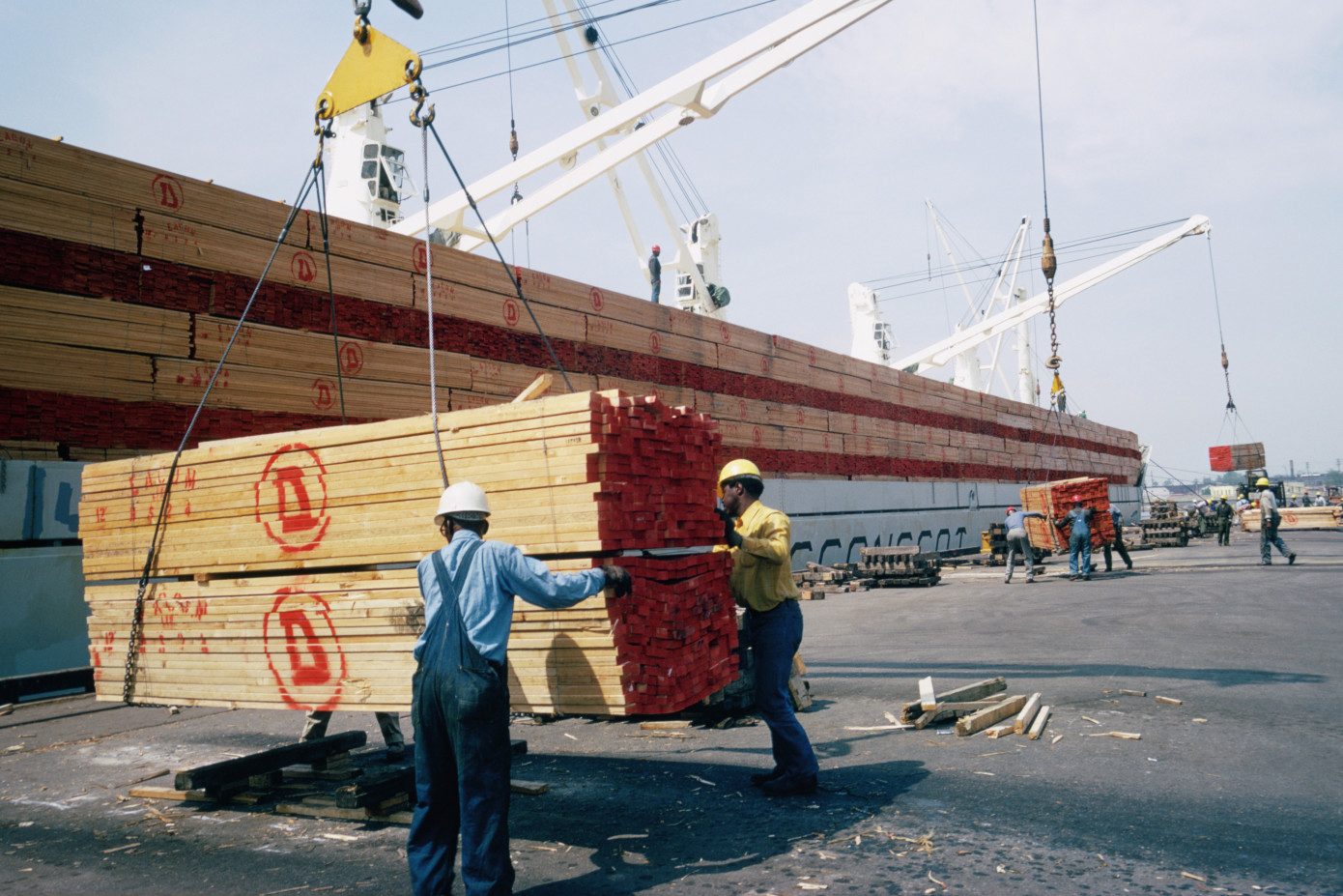 European softwood lumber exporters redirect shipments from China to Egypt