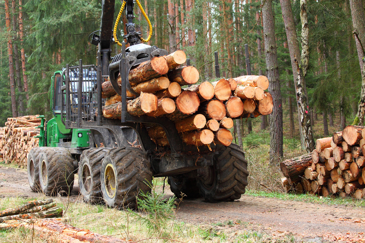 Domain Timber Advisors anticipates promising future for timber industry despite weak demand in first quarter