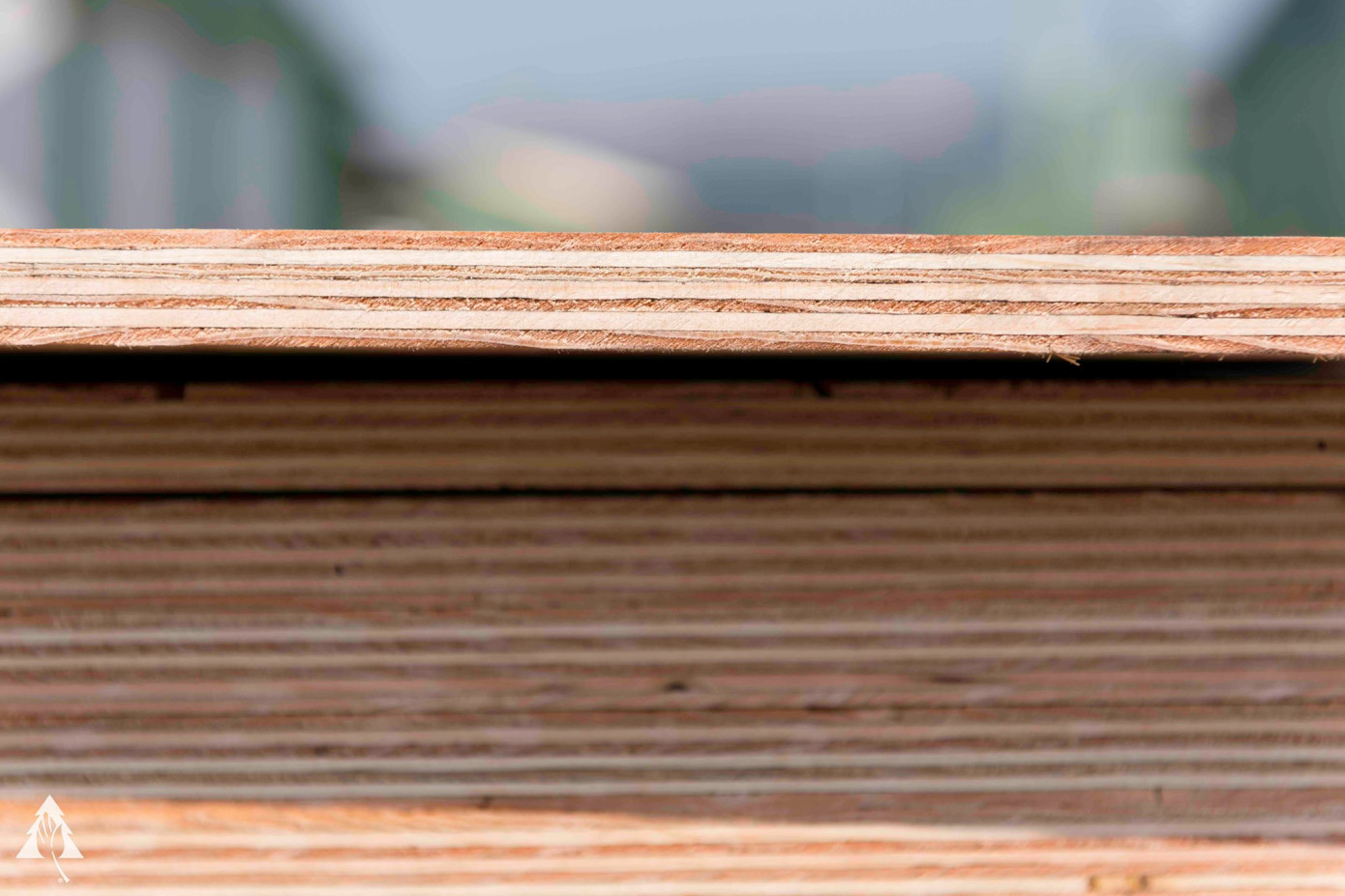 В 4 кв. 2024 г. выручка PotlatchDeltic Corporation выросла на 1,4%