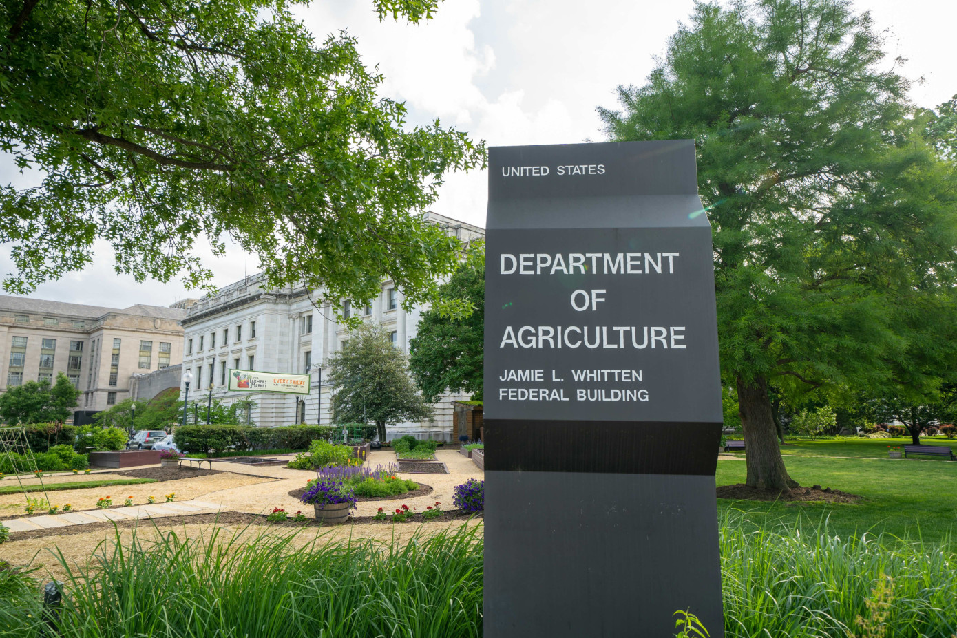 USDA funds SFPA to expand Southern Yellow Pine lumber exports
