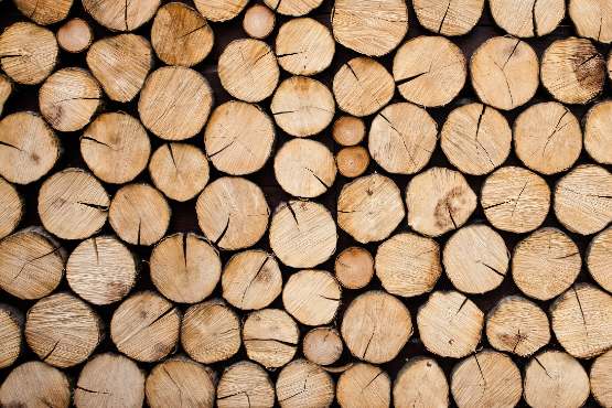 Exports of logs from Lithuania expand 49% in March