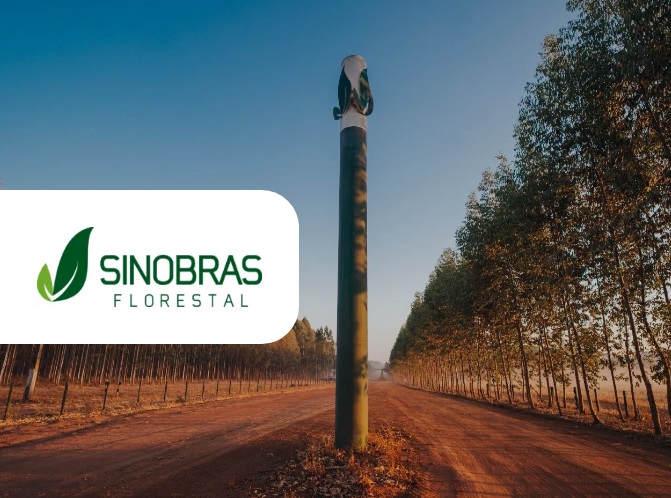SINOBRAS Florestal selects Remsoft optimization technology for strategic forest planning in Brazil
