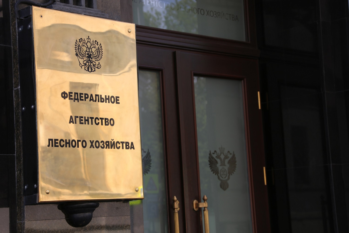 Рослесхоз и Рослеспрофсоюз заключили соглашение о социальной поддержке работников отрасли