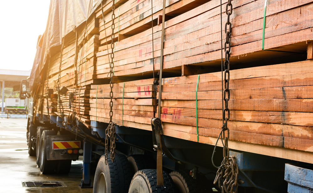 NAFTA panel orders review of U.S. softwood lumber duties