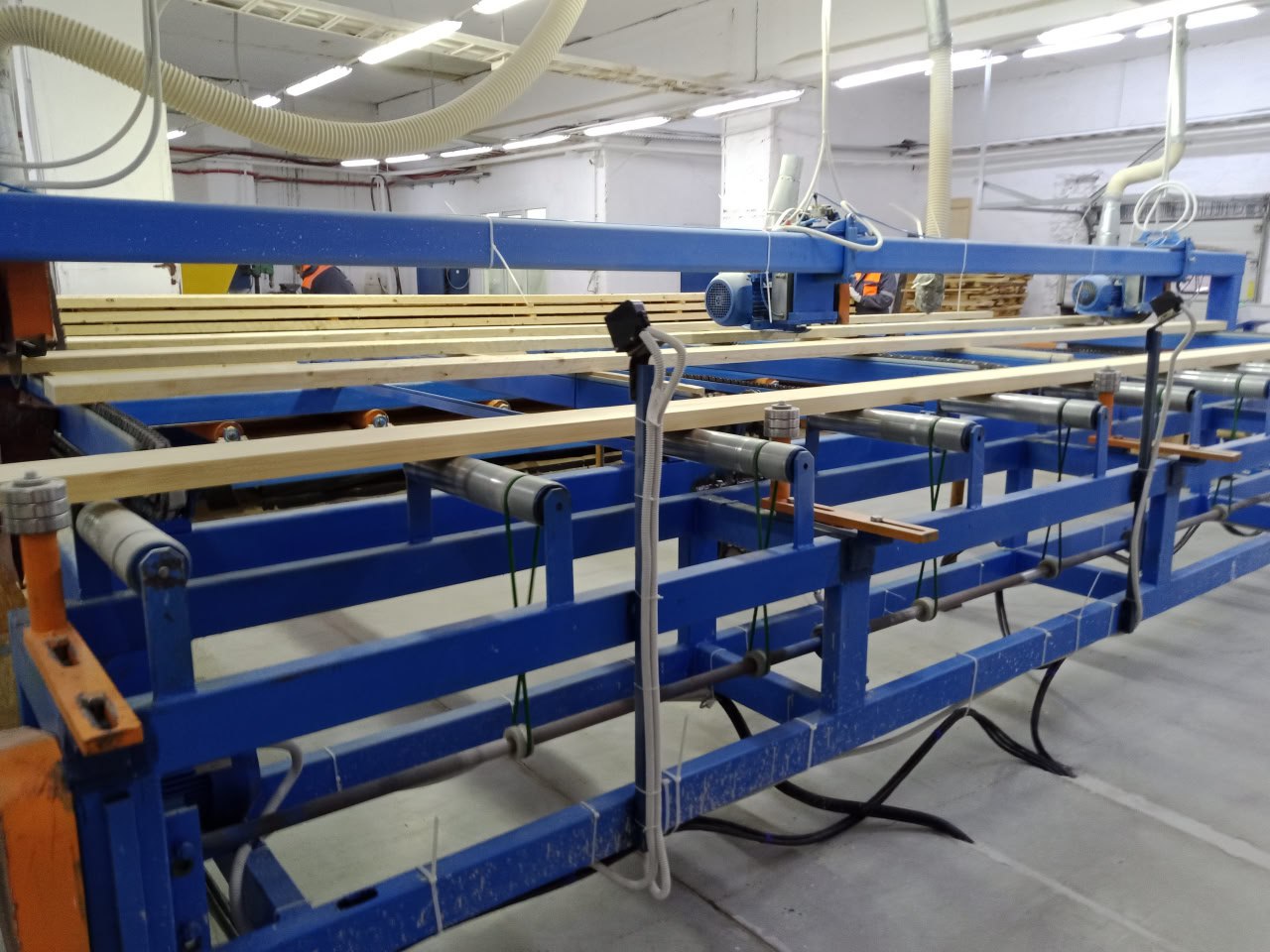 Инвестпроект компании «Биолеспром» получил статус приоритетного