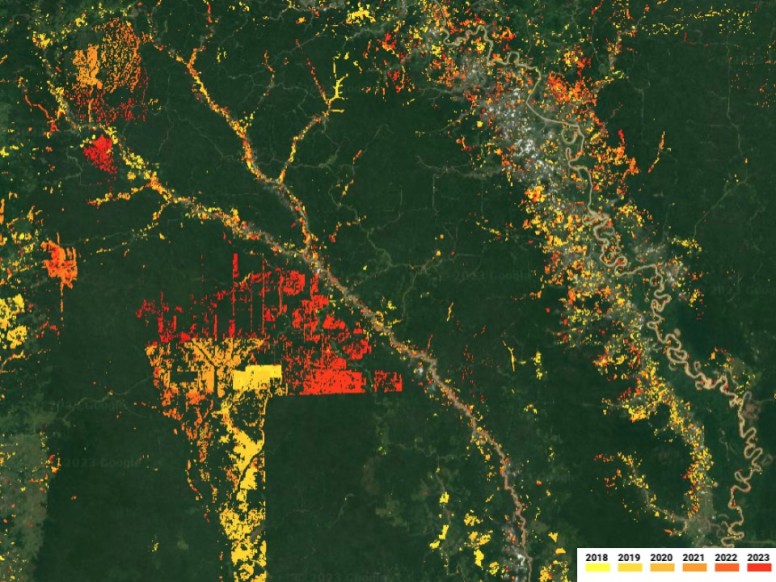 CTrees launches forest disturbance alert system for global monitoring