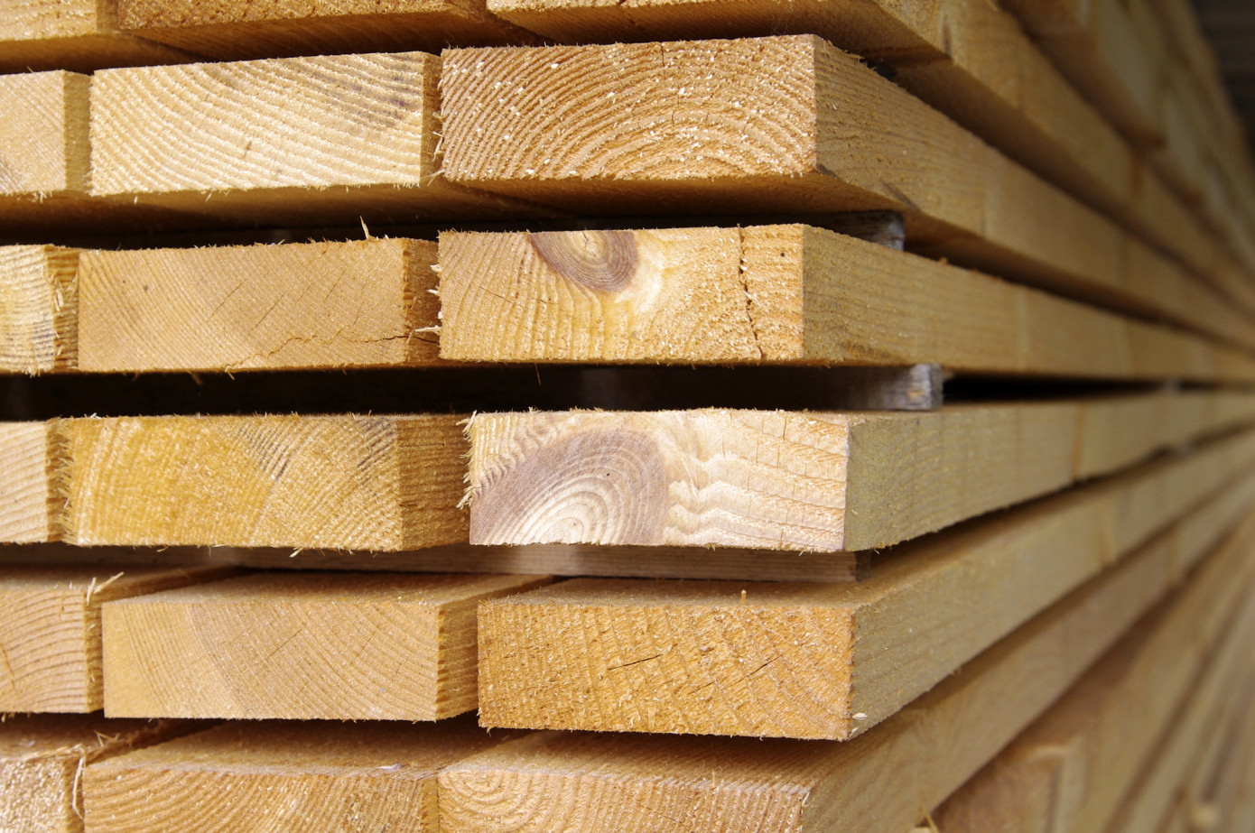 Softwood lumber PPI rises 0.1% in November
