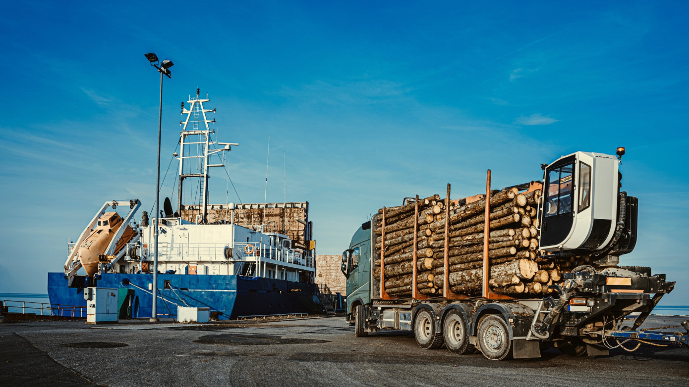 China’s log imports fall 9% in Q1 2025