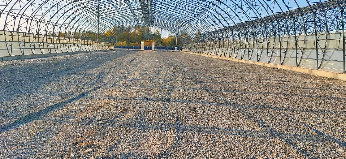 Segezha Group организует систему ответственного лесопользования в Костромской обл.