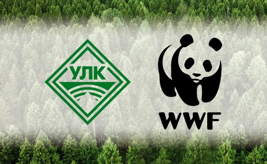 WWF России и Группа «УЛК» сохранят ценные леса вдоль нерестовых рек Архангельской обл.