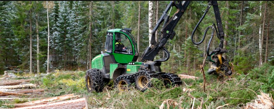 Swedish Forest Agency: в 2022 г. заготовка пиловочника в Швеции снизится на 4%