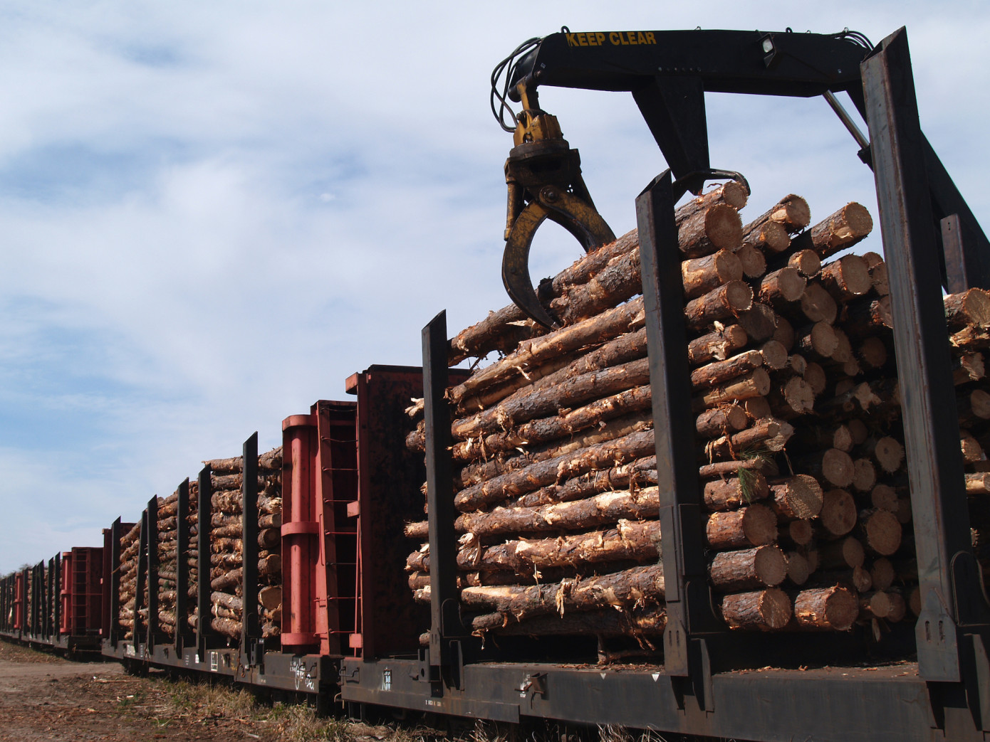 Экспорт круглого леса из Литвы упал в феврале на 30%