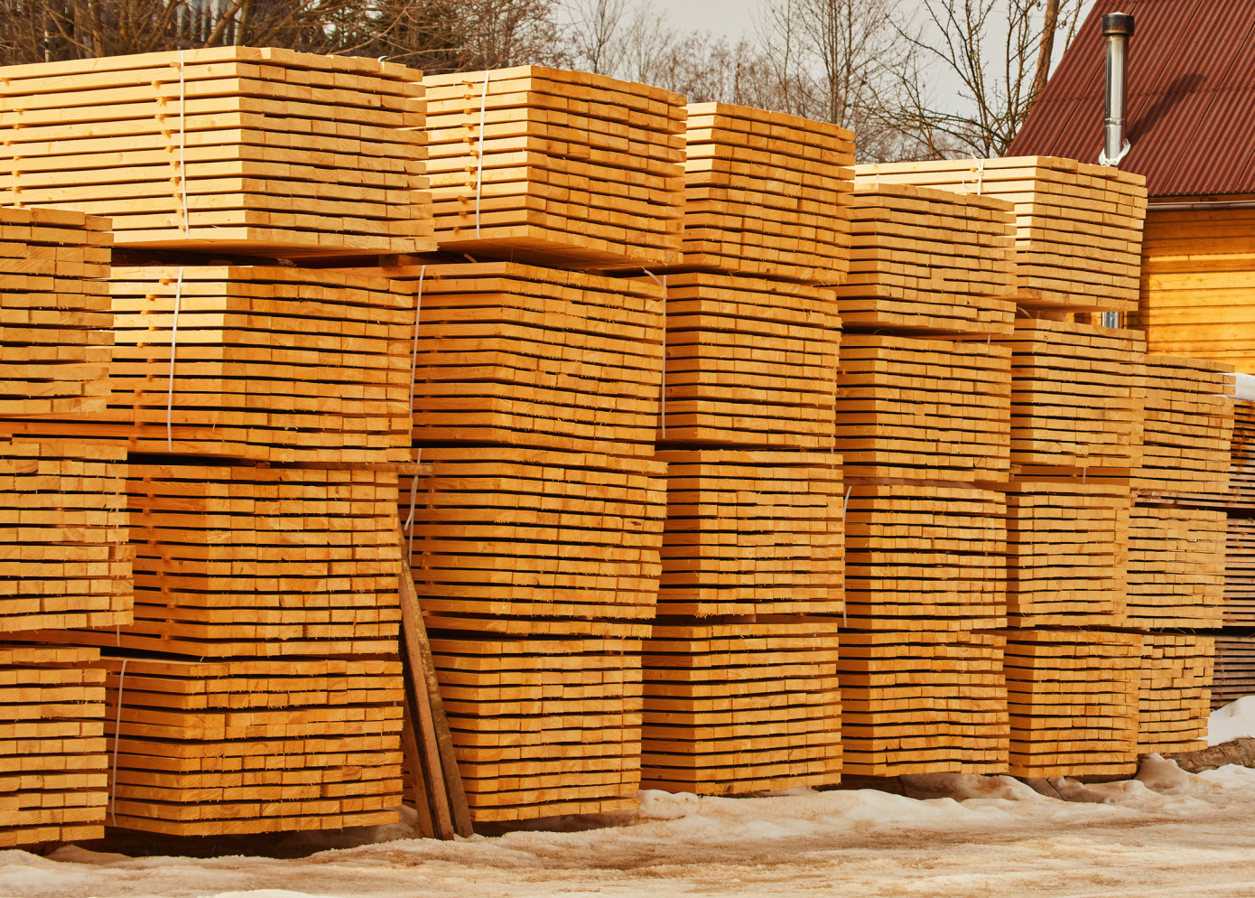 canfor-corporation-to-curtail-operations-at-its-polar-sawmill-located