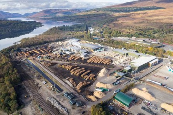 Binderholz to take over BSW Timber