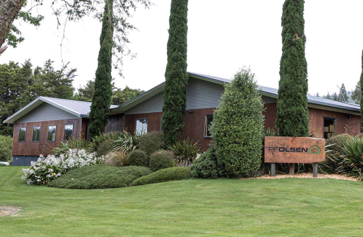 PF Olsen and Forest360 merge to form New Zealand’s largest independent forestry manager