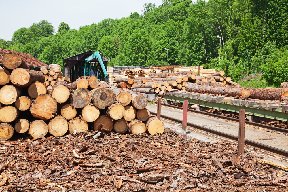 Global hardwood fiber costs for pulp mills increased at the end of 2020