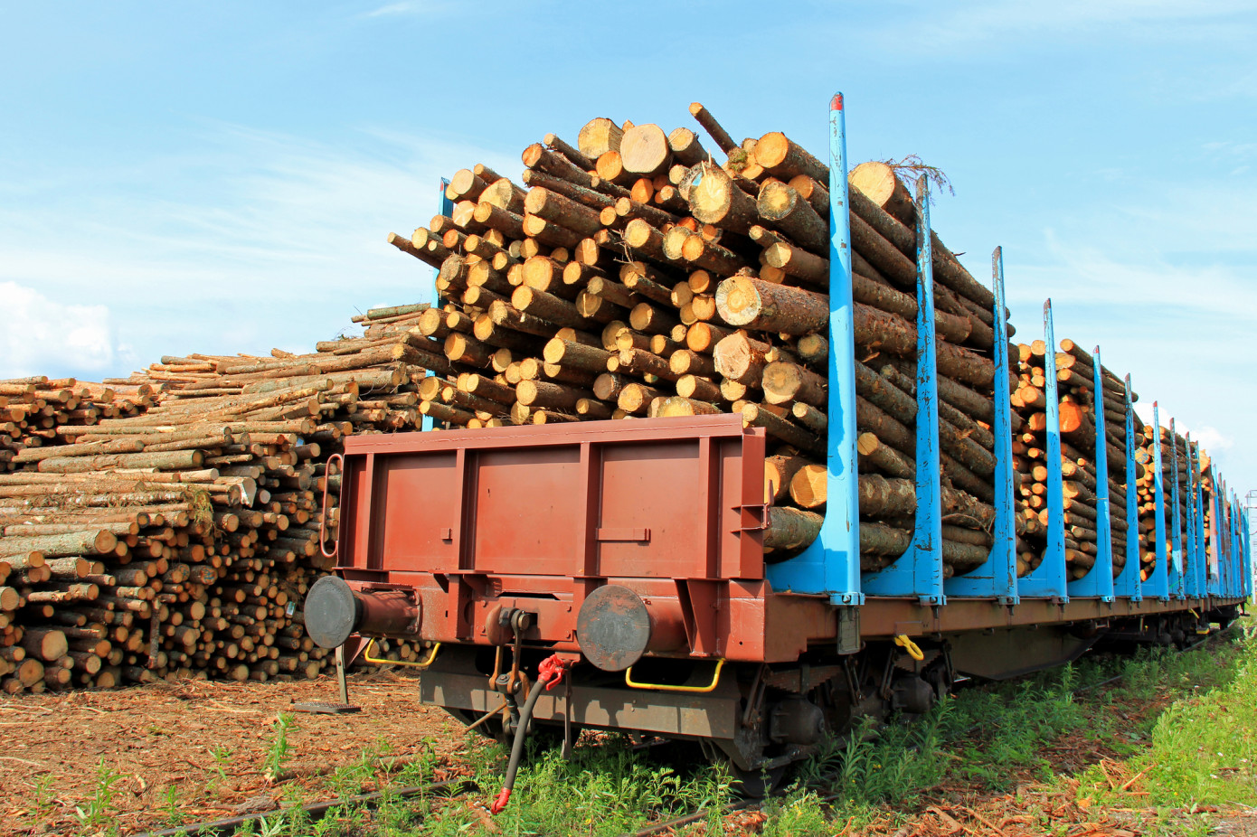 War in Ukraine: impact on global wood markets and Russian forest based industry
