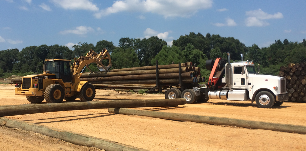 Carpenter Pole and Piling to locate new pole mill in Waynesboro, Mississippi