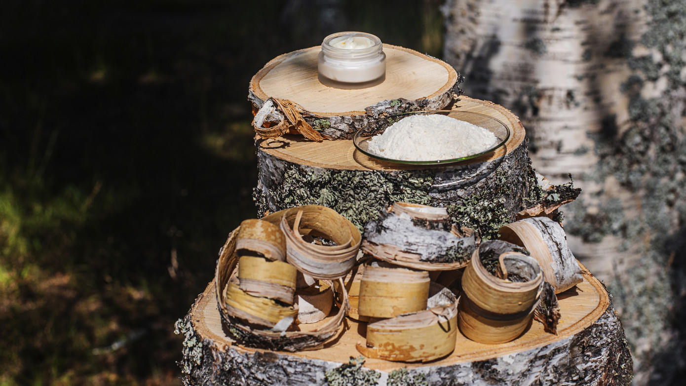 Metsа Spring инвестирует в стартап, производящий биоактивные продукты из березовой коры