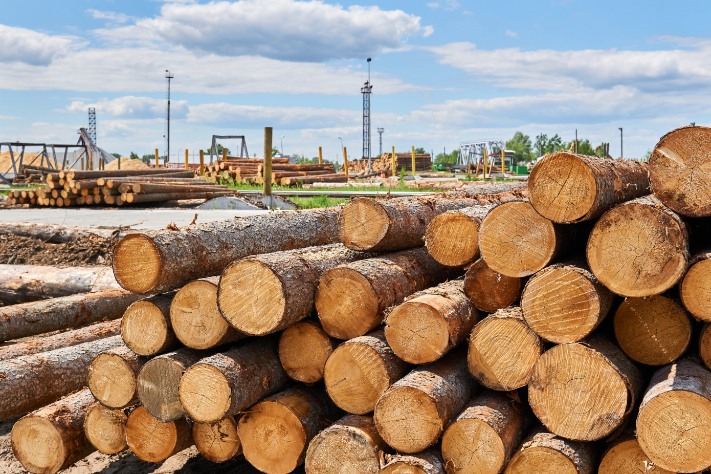 WRI: Global trade of softwood logs fell by 15% in the 1H 2020