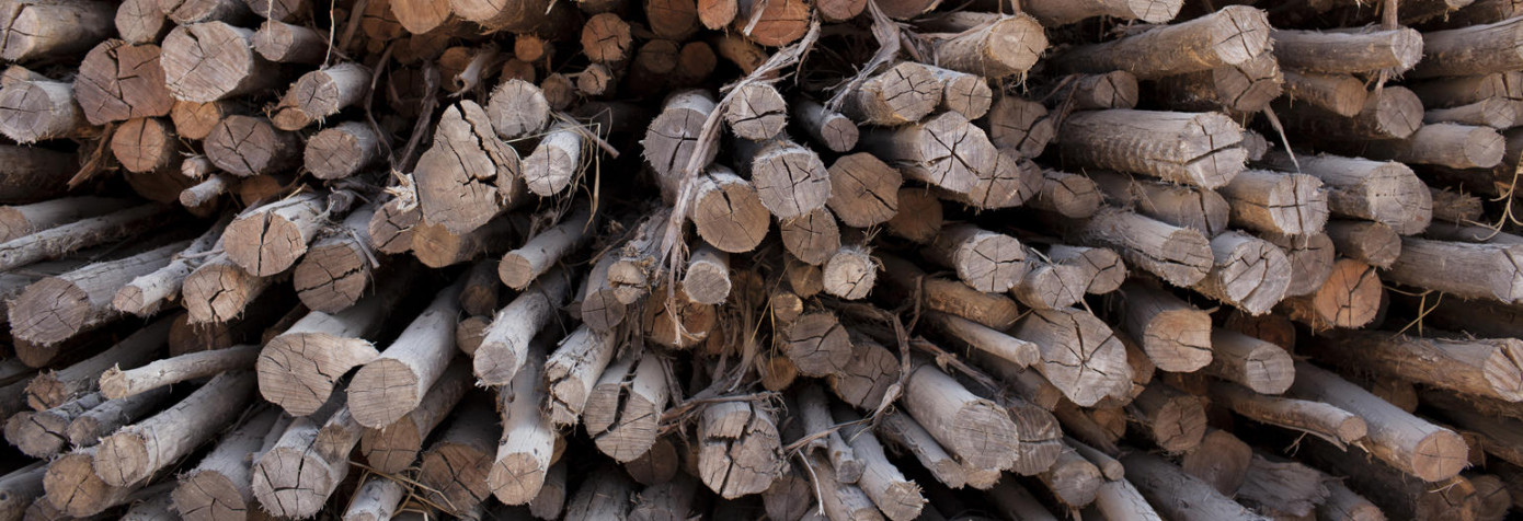 Veolia to deliver chemical removal technology to global pulp producer in Brazil