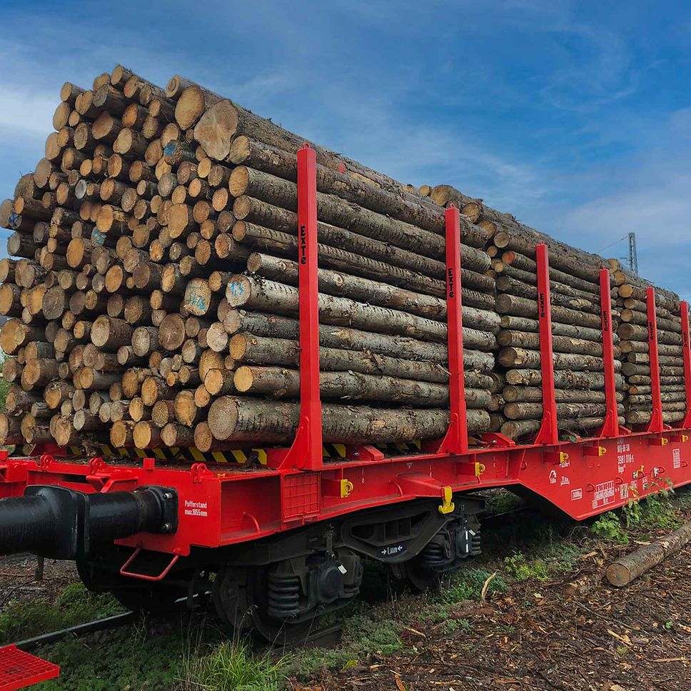 UPM Biochemicals partners with DB Cargo on sustainable wood delivery option