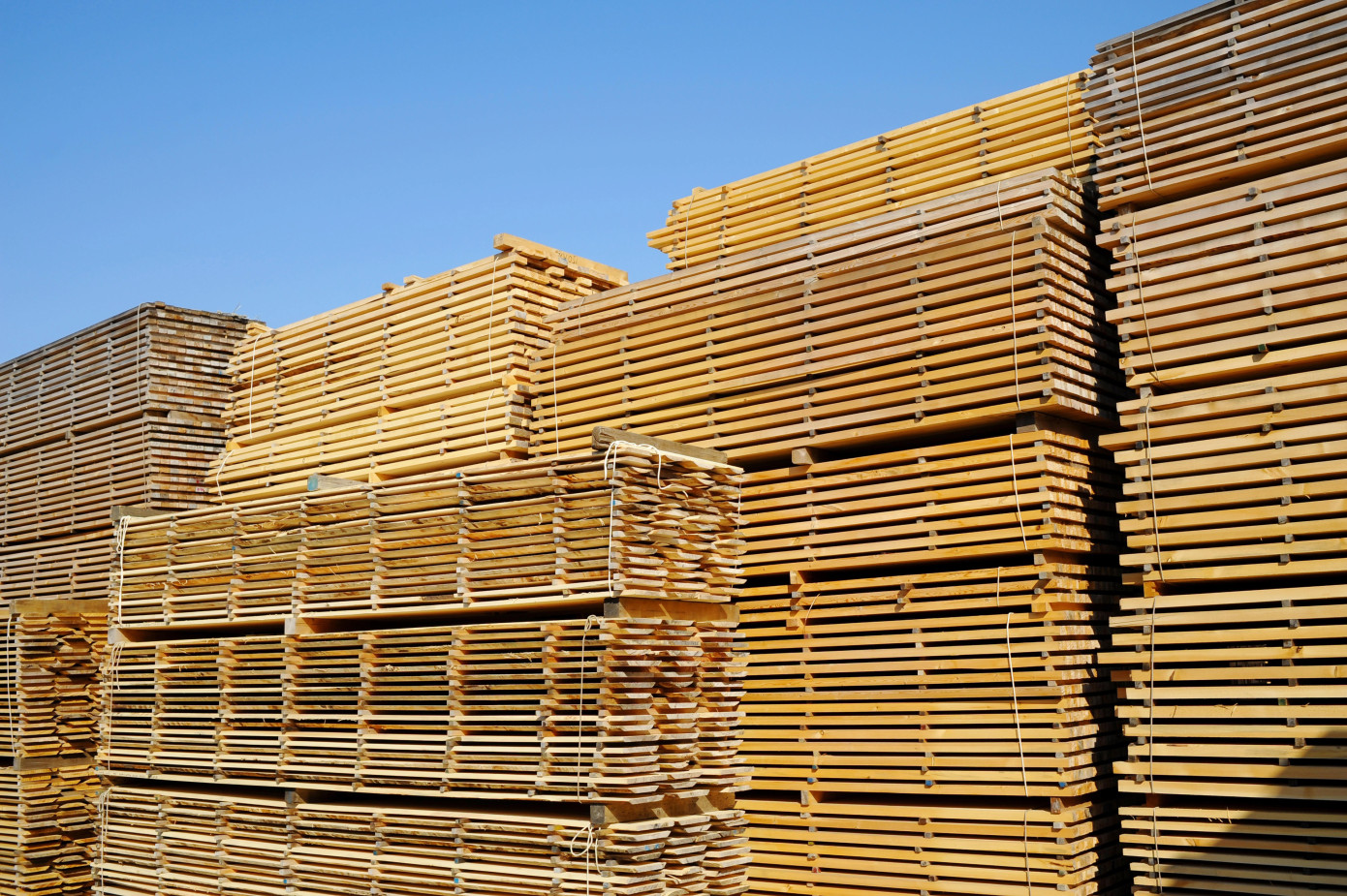 В декабре 2025 г. в Канаде снизился индекс цен производителей на пиломатериалы