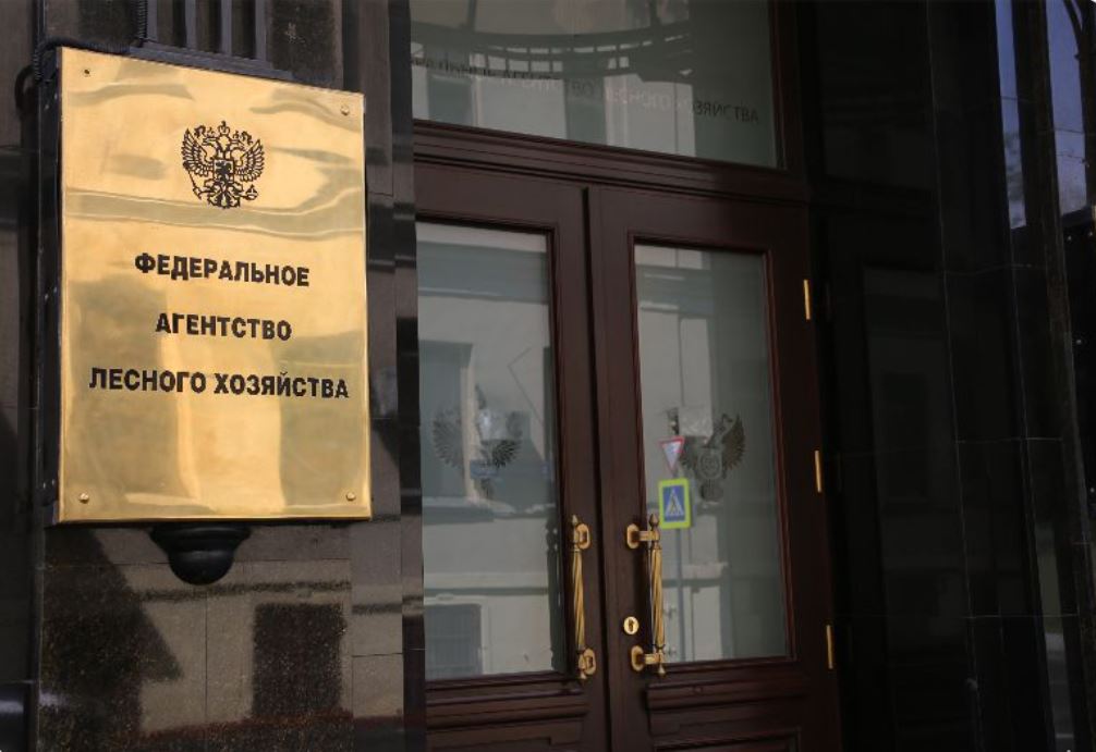 «Рослесхоз» согласовал назначение трех новых глав региональных лесных ведомств