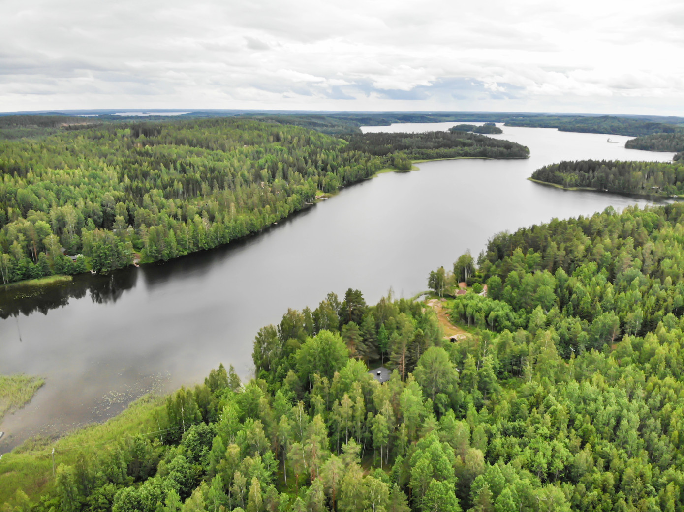 Forestry investment return in Finland rises to 14.9% in 2024