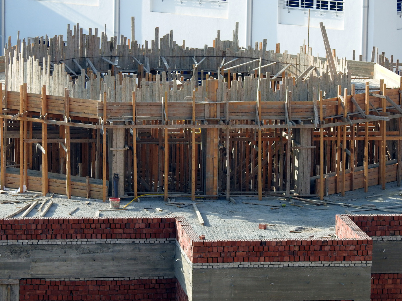 Egypt’s imports of lumber expand 41% in January-February