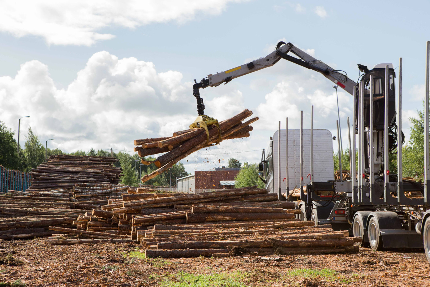 U.S. federal timber expansion unlikely to solve lumber shortage, report shows