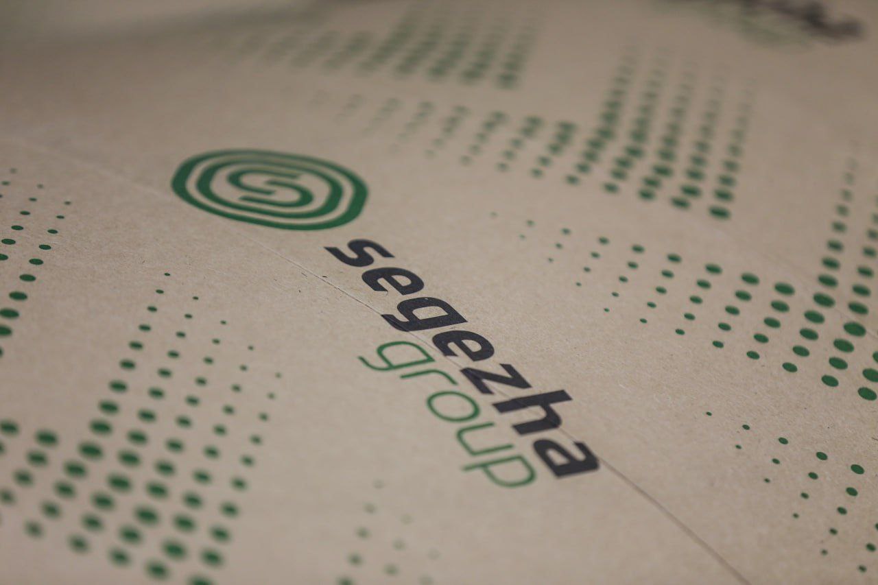 Segezha Group снизила выручку