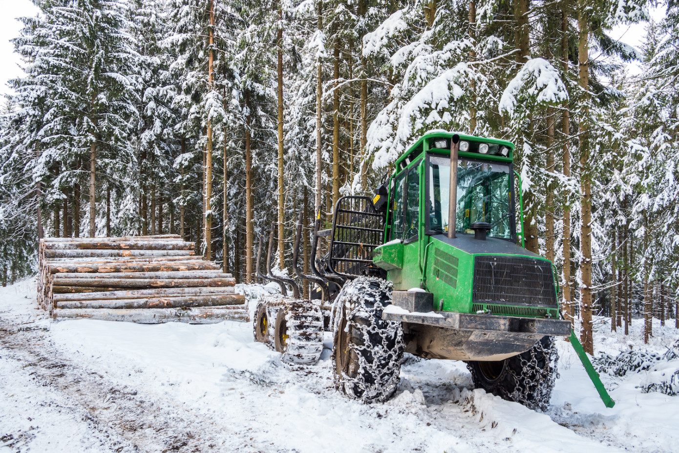 Roundwood harvesting in Finland sees uptick in February