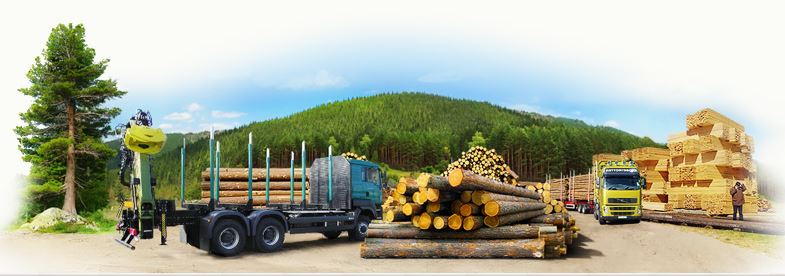 В 2020 г. выручка АО «Карабулалес» снизилась на 11,4%