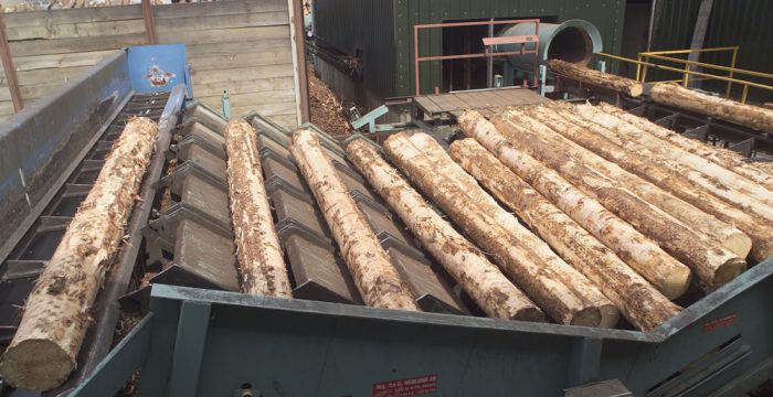 Gordon Timber to invest in its Nairn sawmill, Scotland