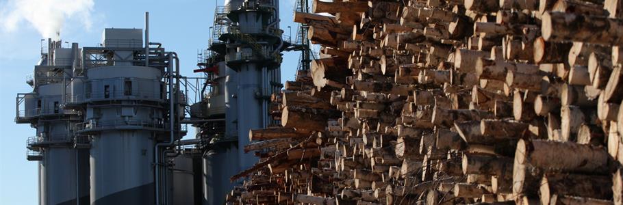 Metsa Group увеличит производство изделий из древесины на заводе в Финляндии