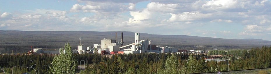 West Fraser Timber to reduce pulp production at Hinton mill in Canada