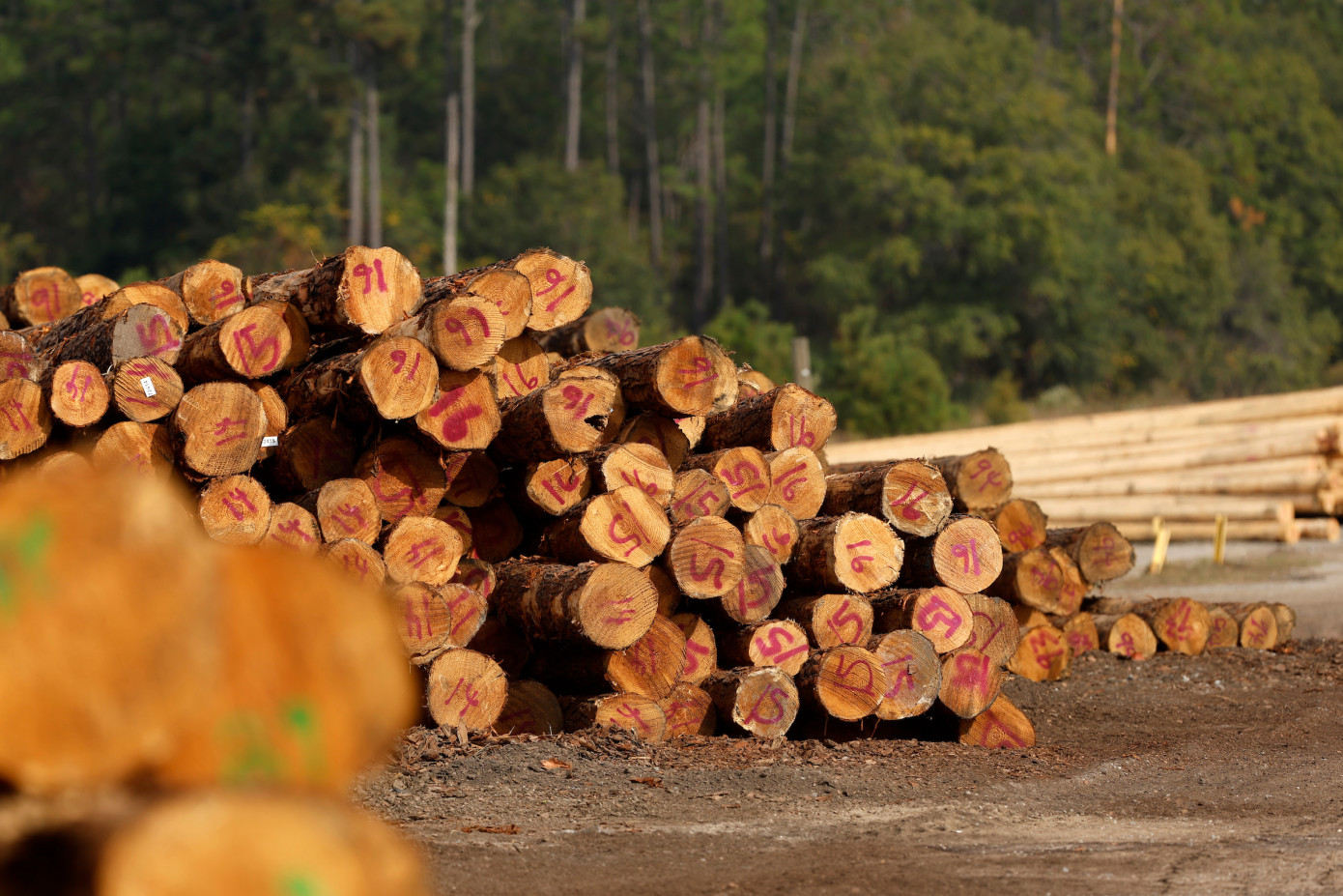 Koppers acquires Brown Wood Preserving for $100 million