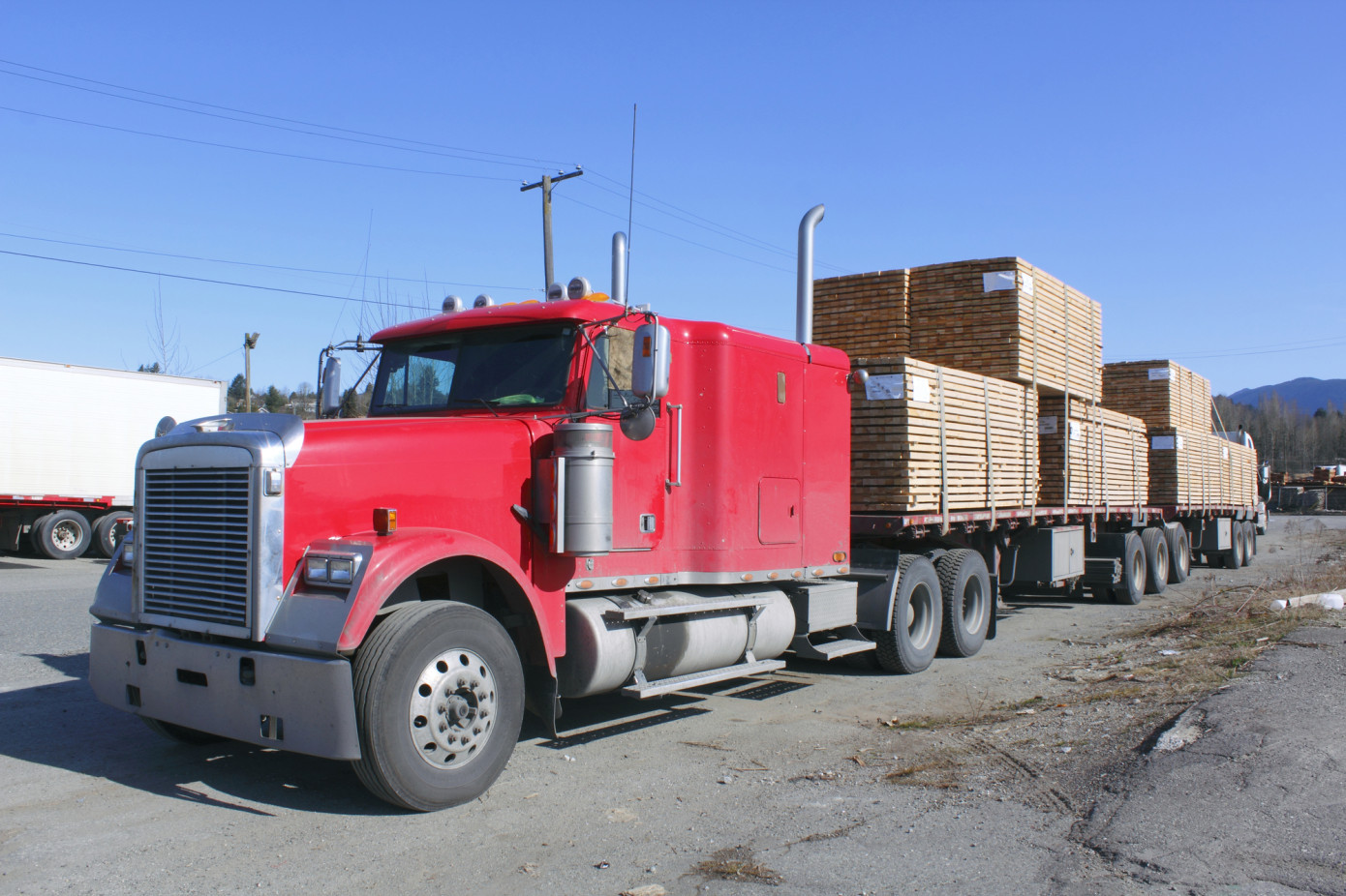 Exports of lumber from Chile lose 39% in October