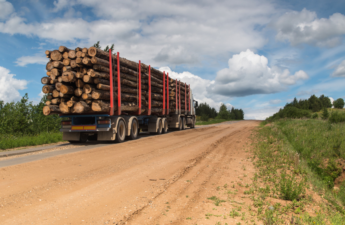 Russian log exports fall 66% in December