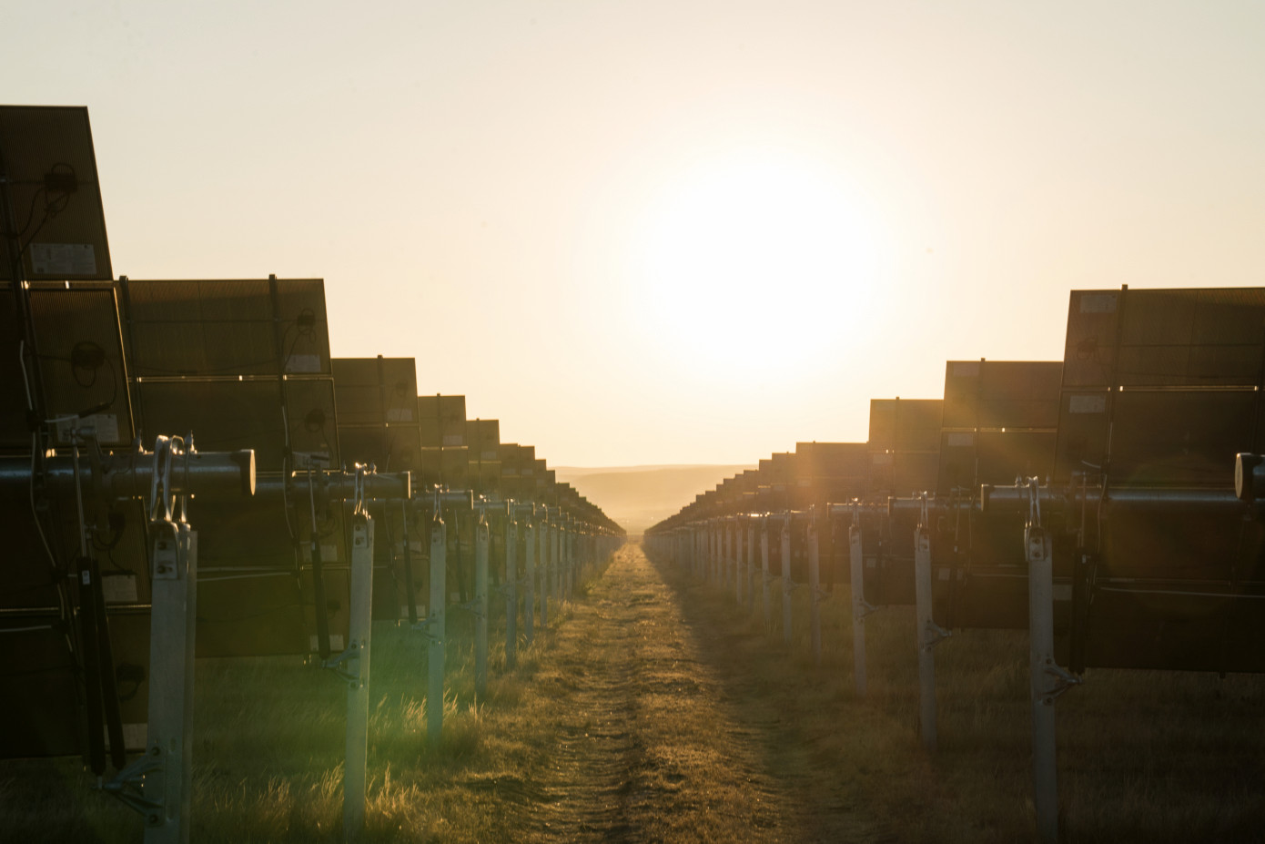 Ingka Investments makes its first renewable energy investment in India