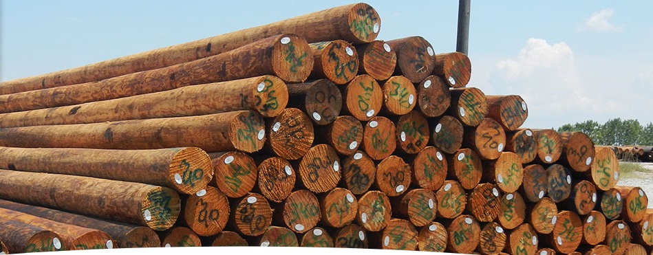 Stella-Jones to acquire Cahaba Pressure Treated Forest Products