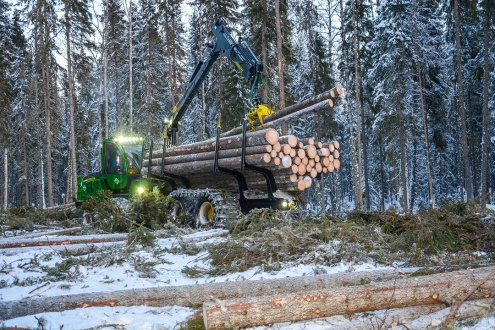 В 2019 г. Устьянский леспромхоз заготовил 1,13 млн м3 древесины