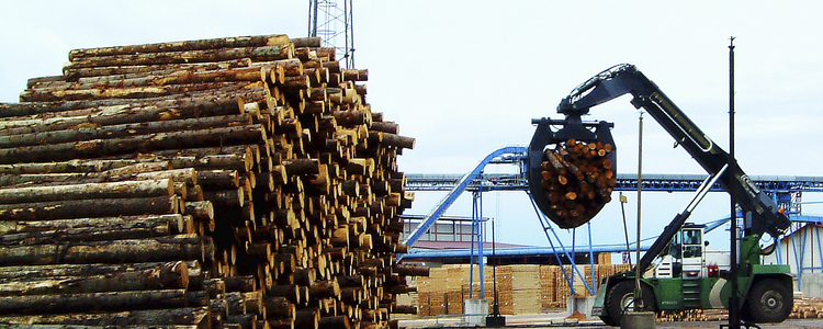 Sweden"s stocks of softwood sawlogs decreased by 8%