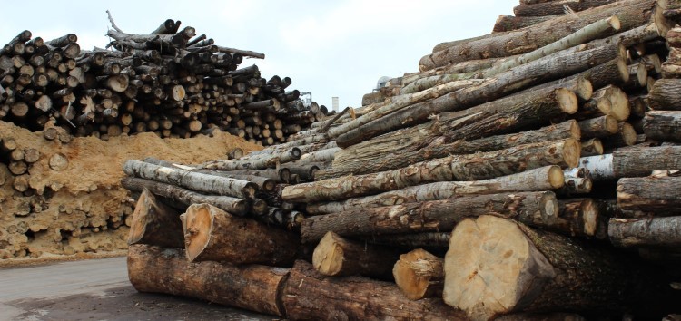 EBRD loans Euro15 million to Kaamos Timber to build sawmill in Belarus