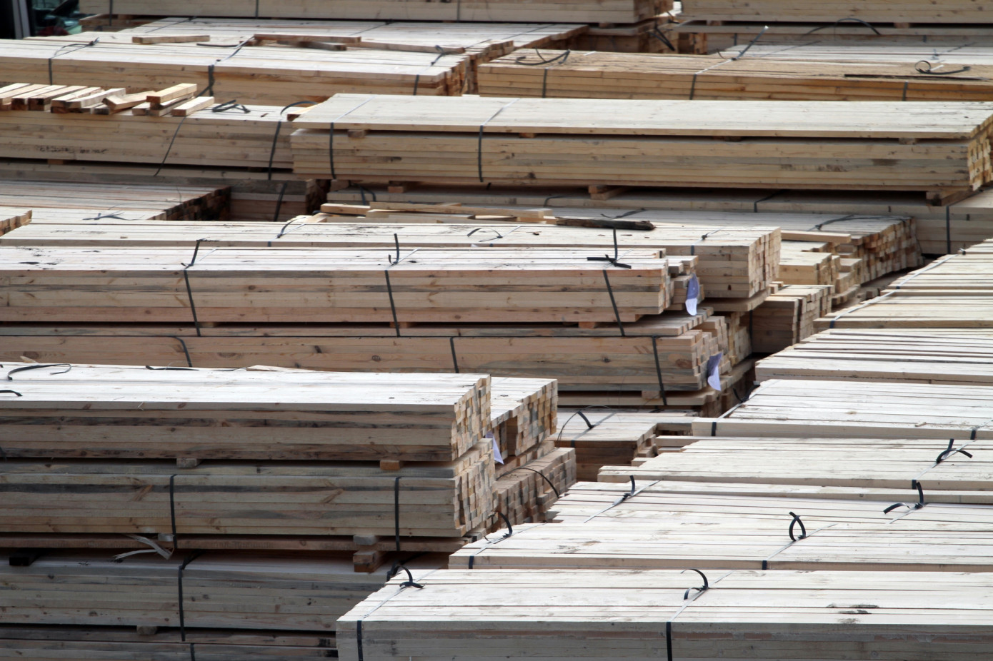 Импорт хвойных пиломатериалов в Китай упал на 19% в первые два месяца 2025 г.